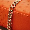 First Lady Small Orange Ostrich Leather Bag 08