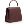 Tiffany 21 Burgundy Ostrich Leather Handbag 05