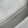 Time 21 Silver Ostrich leather chain bag 07
